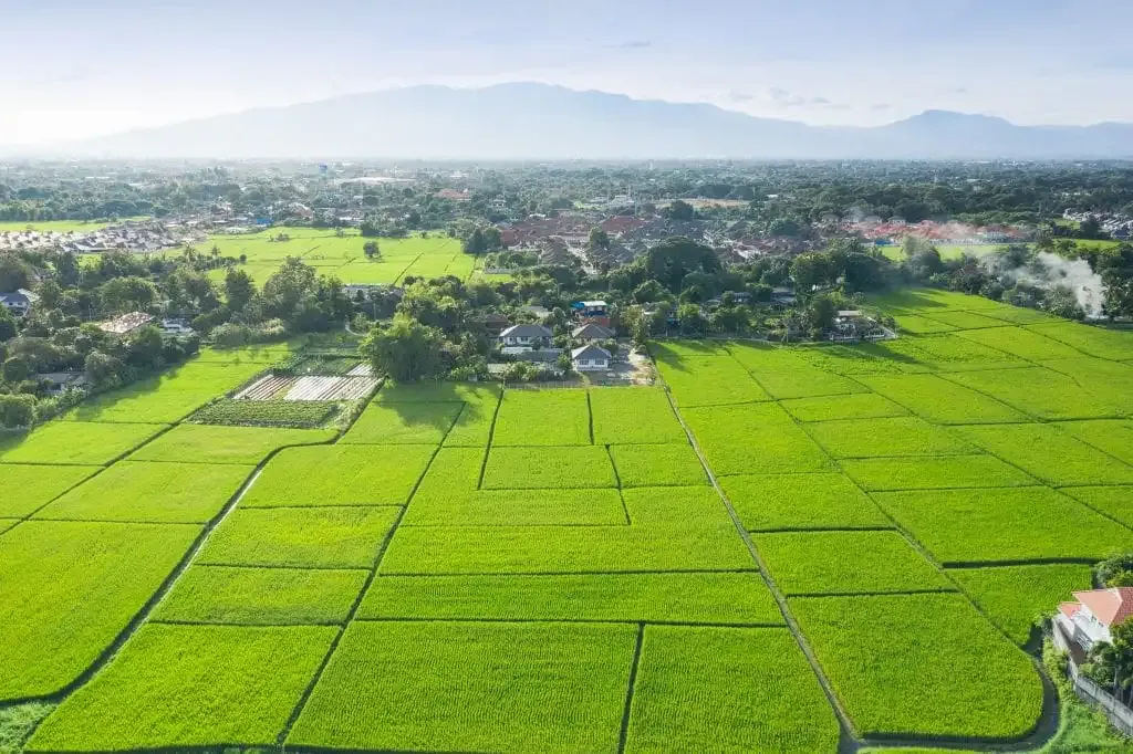 Służebność drogi koniecznej to szczególny przypadek służebności gruntowej.