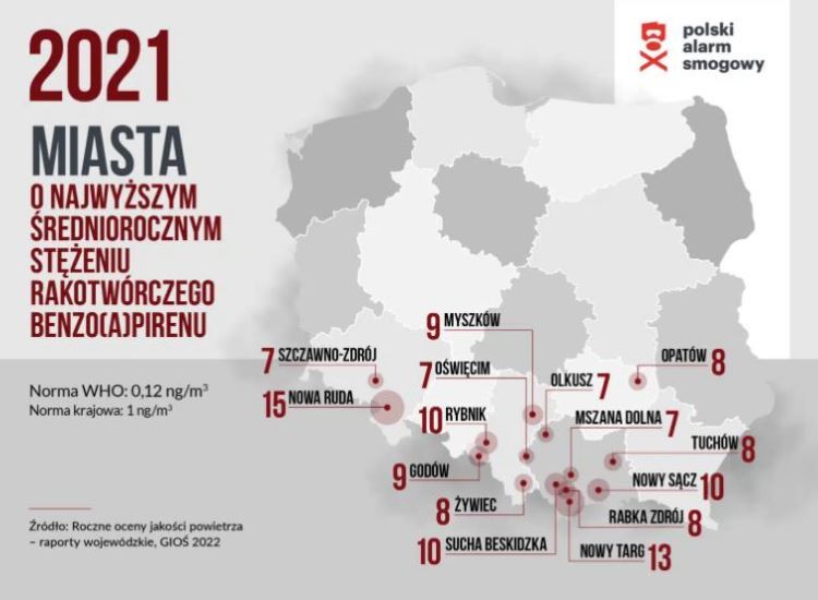 Miasta o największym średniorocznym stężeniu rakotwórczego benzo(a)pirenu w 2021 r.