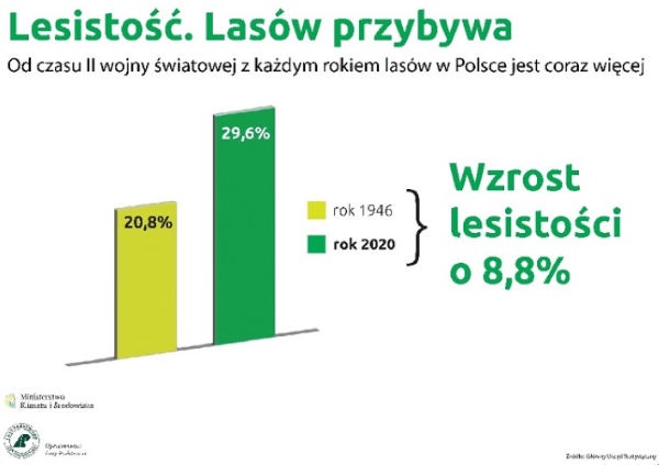 Lesistość. Lasów przybywa