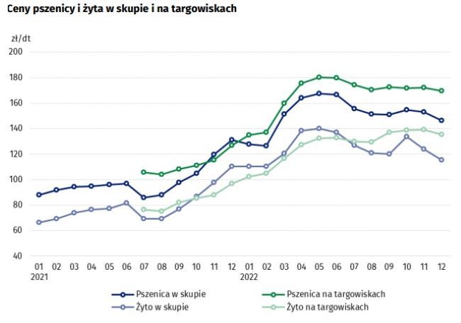 Cena pszenicy i żywa w skupie i na targowiskach, źródło: dane GUS