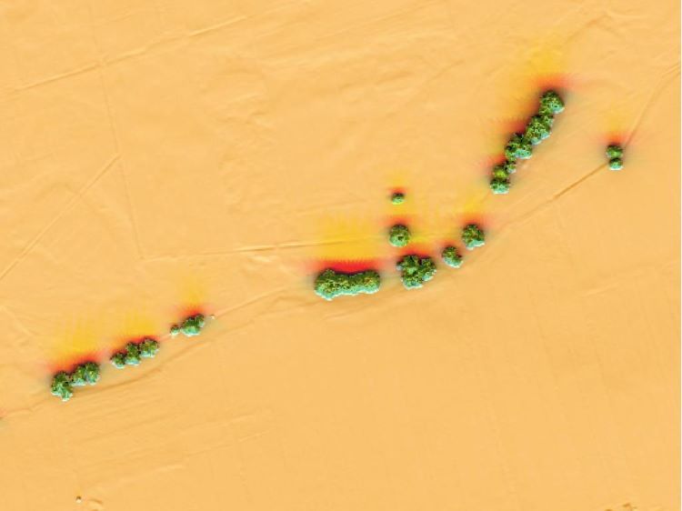 Pojedyncze drzewa na działce rolnej w Geoportalu Na Mapie