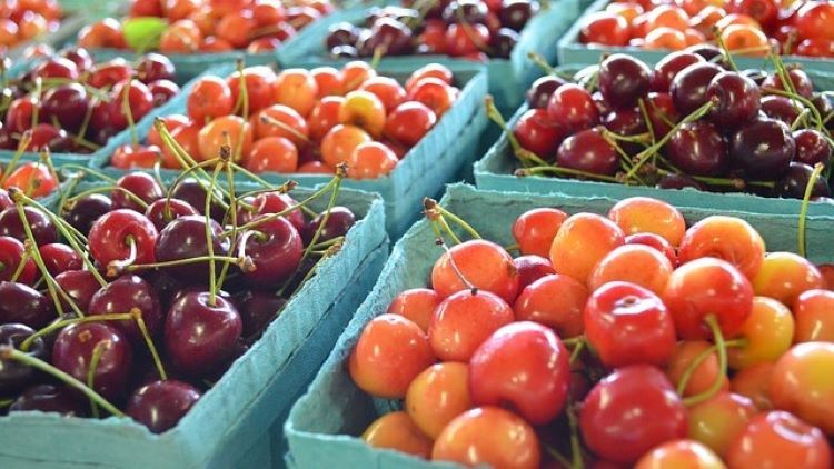 Przedmiotem handlu będą mogły być tylko produkty rolne lub spożywcze oraz wyroby rękodzieła wytworzone w gospodarstwie rolnym