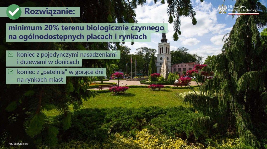 Zakaz betonowania placów i rynków miast