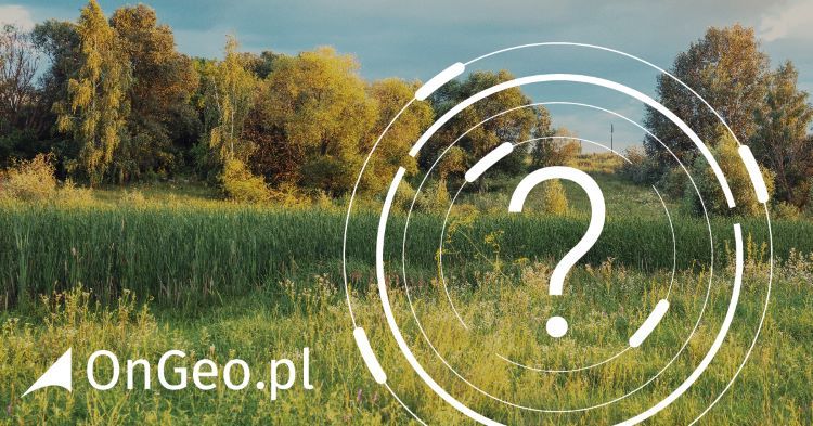 Rzetelne sprawdzenie nieruchomości uchroni Cię przed wtopieniem pieniędzy w wadliwą działkę