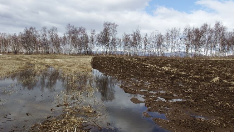 Obszary zagrożone stagnacją gruntu - zastoisko wody na gruncie rolnym
