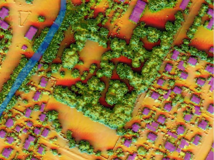 Rozmieszczenie i zasięg drzew oraz wody płynącej w parku miejskim, Geoportal Na Mapie