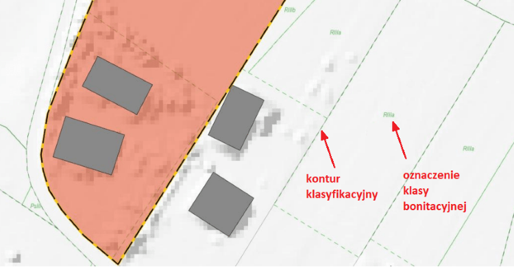 Kontur klasyfikacyjny i klasa bonitacyjna gleby w Raporcie o działce