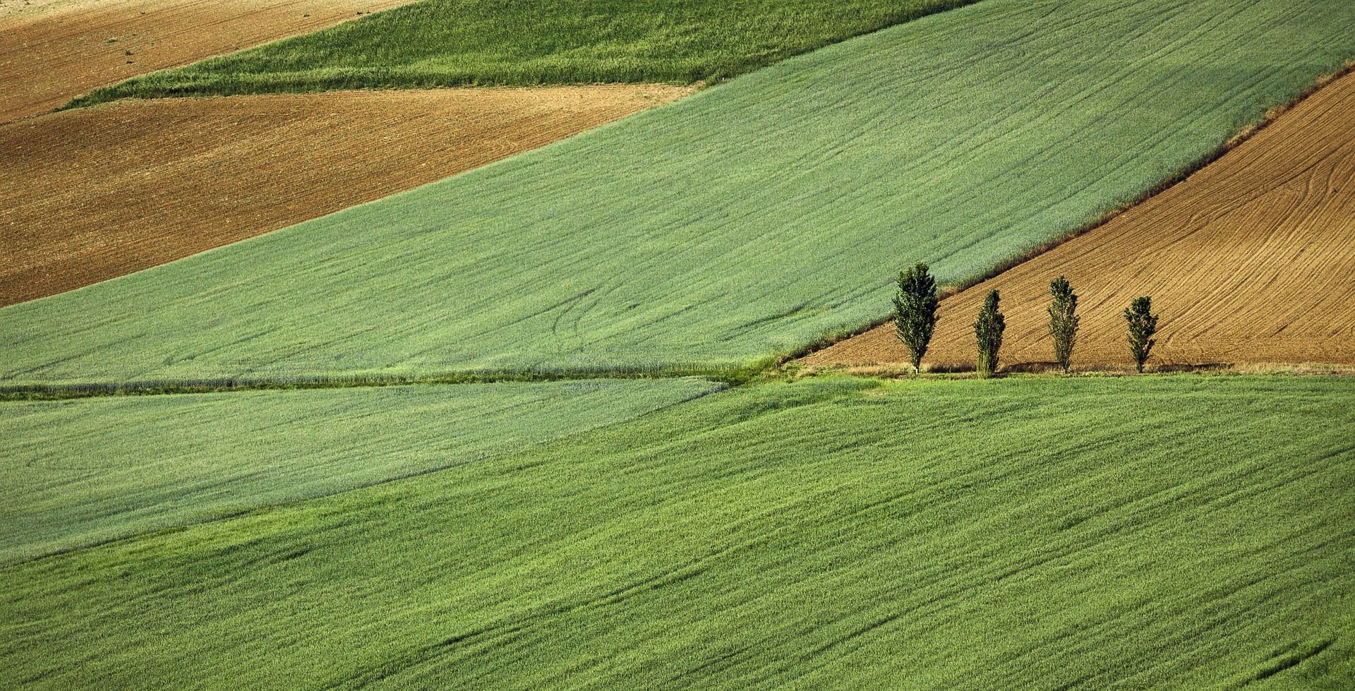 Działka rolna - odrolnienie