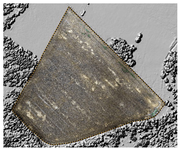 Naturalny obraz uprawy