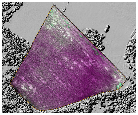 Ekspozycja uszkodzonych upraw barwą wzmocnioną