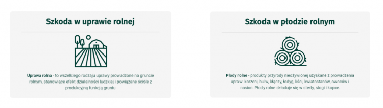 Rodzaj szacowanej szkody