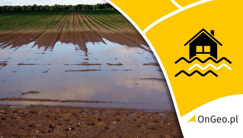 Analiza działki przed zakupem - sprawdź typ działki