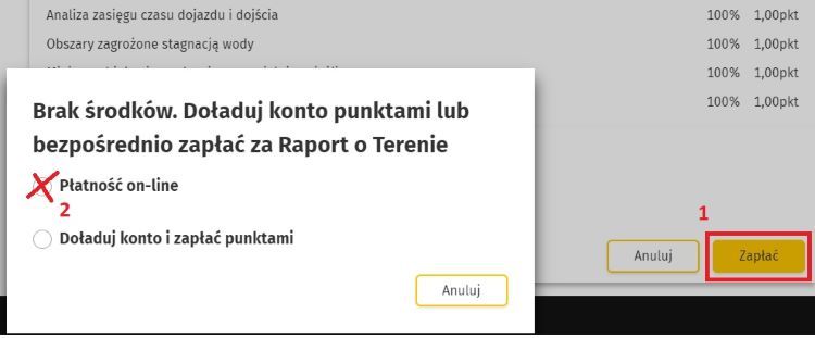 Wybierz płatność on-line 