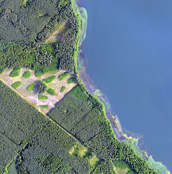 zmiana-w-ustawie-o-lasach-ongeo-pl